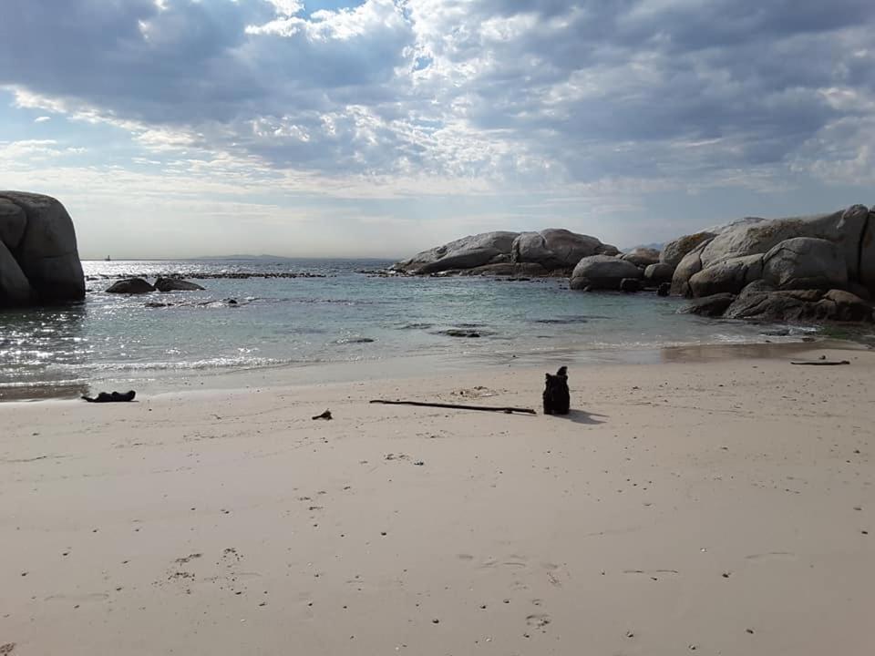 Porcupine Walk Appartement Simonʼs Town Buitenkant foto