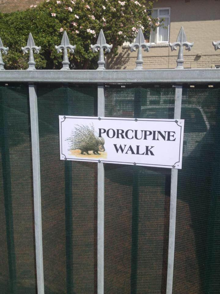 Porcupine Walk Appartement Simonʼs Town Buitenkant foto